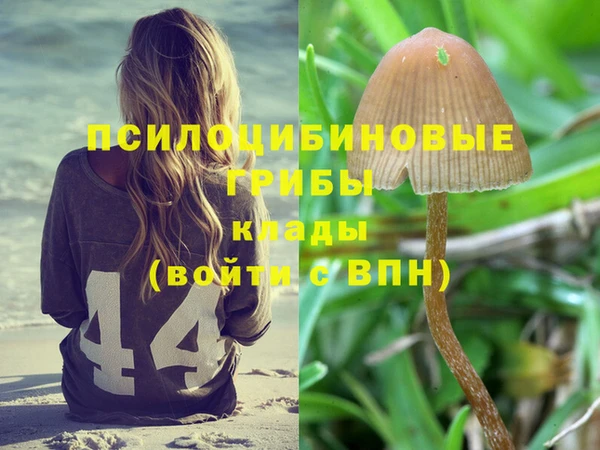 трава Алзамай