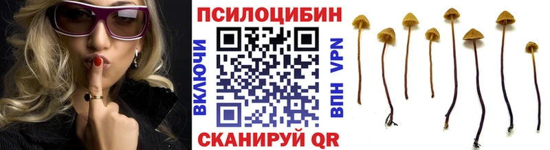 Галлюциногенные грибы MAGIC MUSHROOMS  ОМГ ОМГ как зайти  Усинск 