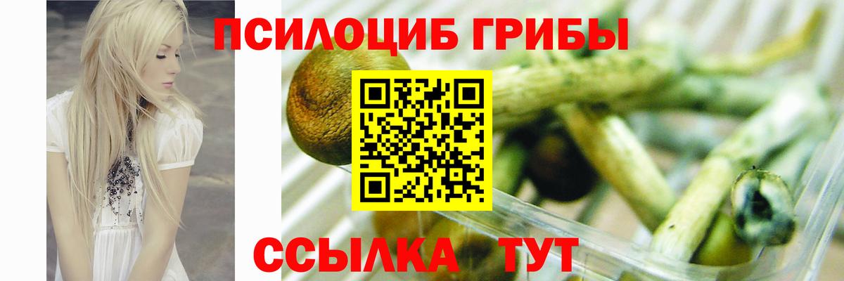 как найти закладки  Псилоцибиновые грибы Psilocybe  Усинск  Вход с VPN  Псилоцибиновые грибы MAGIC MUSHROOMS 